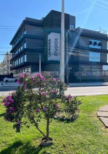 Studio novíssimo a 200m da praia nos Ingleses