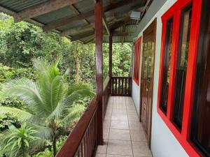 Complejo Ecoturistico Tamandua