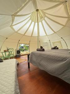 Eco Glamping Ataraxia
