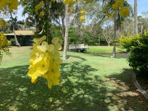 Villa 36 Retreat Hervey Bay - Lakefront