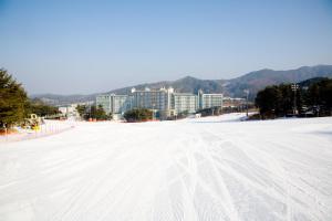 Wellihilli Park Resort