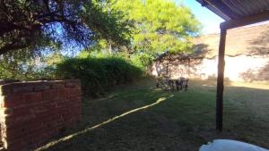 Habitación Compartida Tipo Hostel para los más aventureros