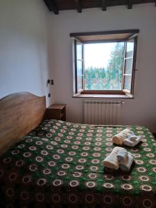 Prato Fiorito - Bagni di Lucca