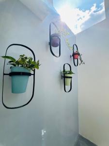 Stylish 3BR Residence - Smart Bath - Cozy Vibes