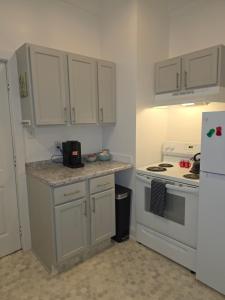 Relaxing Downtown 1 Bed, Dog Friendly Apartment with Deck, Dog Exercise Area