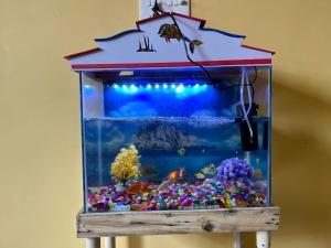 Dream Promenade Residency