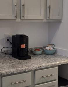 Relaxing Downtown 1 Bed, Dog Friendly Apartment with Deck, Dog Exercise Area