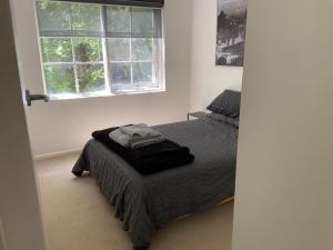 Apartment in South Yarra