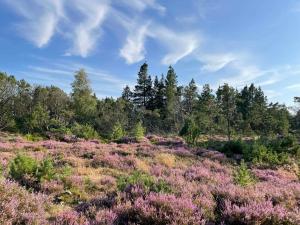 Unique Location On A Large Sunny Natural Plot