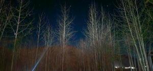 Serenity Stay Rangrik