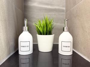 Glorias Laguna Suite