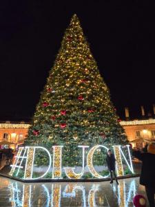Le Clos du Moulin Dijon , charme et calme proche centre historique, la campagne à la ville