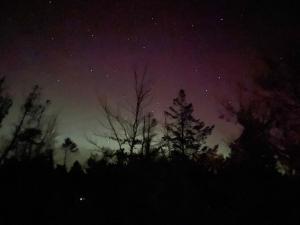 Unique Location On A Large Sunny Natural Plot