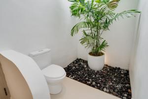 Balimmo 2 Bedrooms Luxury Villa