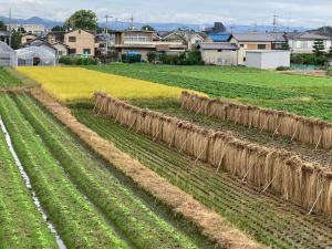 耀来YoRaiようらい