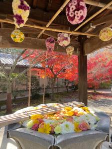 耀来YoRaiようらい