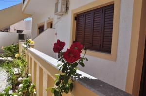 Flamingo Apartments Lasithi Greece