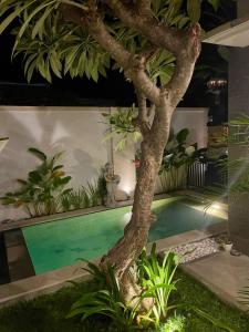 Villa with private pool