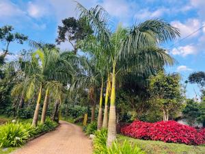 Aagani Gudda Nature Stay Resort