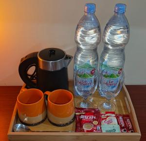 The Cat And The Kraken Jacuzzi Suites Paliton