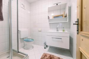 Landhaus Stieglschuster, middle of 5-Skiarea & mountain view 360