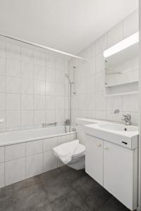 Shiny Studio in Zurich - Crown 37