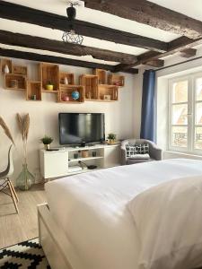 Central & Cosy Apartment Strasbourg City Center