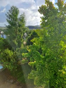 Ferienwohnung Kleine Auszeit im Hunsrück