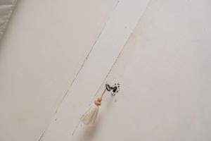 Locanda Tartarughino img65