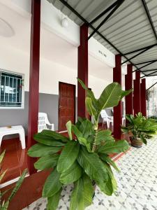 AN Airport Guesthouse