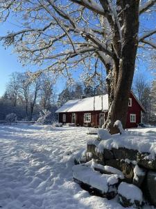 Traditional Swedish House In The Forest