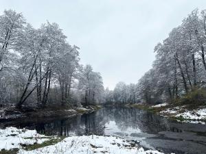 Masuria Warsaw - dom na wyłączność - w lesie i przy rzece - 15 min od Warszawy