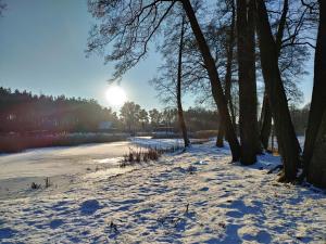 Masuria Warsaw - dom na wyłączność - w lesie i przy rzece - 15 min od Warszawy
