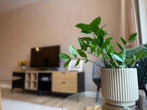 Prywatny Parking przy Starówce Apartament Logan by Rentoom