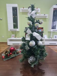 Apartament modern Cristina&Jessica