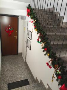 Apartments Le Rondini 3