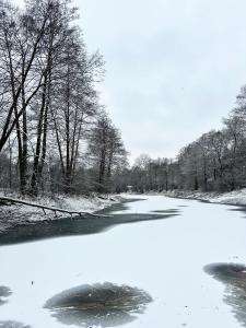 Masuria Warsaw Family - dom na wyłączność - w lesie i przy rzece - 15 min od Warszawy - idealny dla rodzin z dziećmi