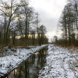Masuria Warsaw Family - dom na wyłączność - w lesie i przy rzece - 15 min od Warszawy - idealny dla rodzin z dziećmi