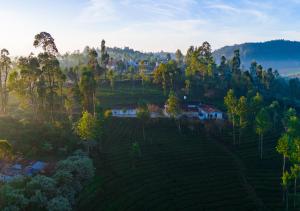 Silver Dale Tea Estate Bungalow Ooty by VOYE HOMES