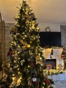 Hanul Anei - entire property