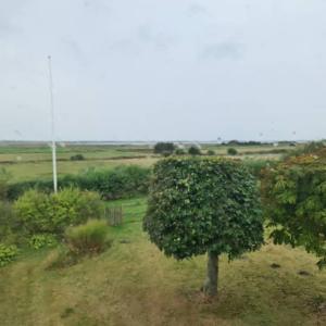 Horse Estate Farm Stay - Beautiful Surroundings