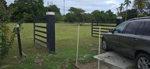 Your Dream Beachfront Escape Luxury, Nature, Fun at Juan Hombron