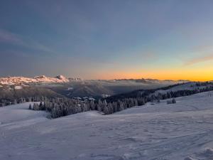 La Dame du Lac à Sevrier