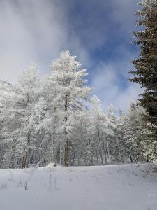 Ecogite du Mas de Trape