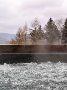 Srebrna Polana - sauna, jacuzzi