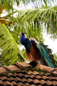 Rose Dale Guest Inn Ella