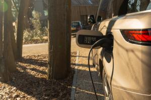 Suite - 2 personen - Woodz Lodges