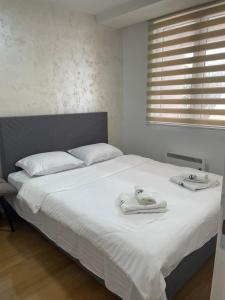 Apartman Velimir Zlatibor