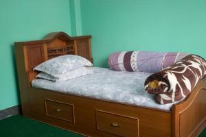 Devi home