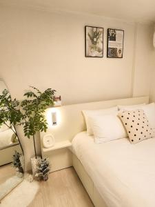 Stay Yeon in Sinchon - 신촌역 도보 9분, 공항 버스 도보 4분